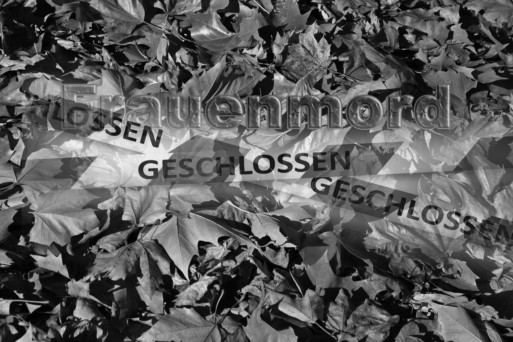 Mutmaßlicher Frauenmord im Bezirk Baden?