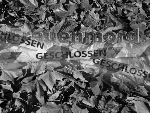 Mutmaßlicher Frauenmord im Bezirk Baden?