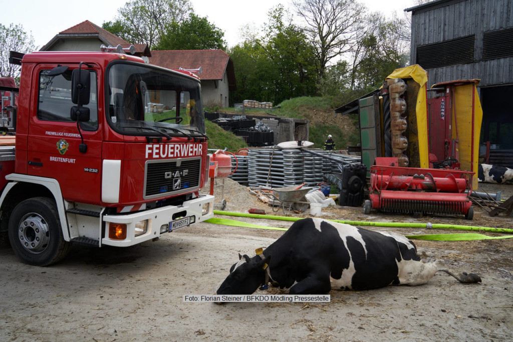 Laab im Walde: Bauernhof in Vollbrand 12.05.2021 Laab im Walde: Bauernhof in Vollbrand 12.05.2021