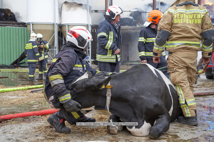 Laab im Walde: Bauernhof in Vollbrand 12.05.2021
