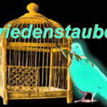 friedenstaube