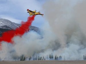 Italien und Bayern helfen mit Löschflugzeugen und -hubschraubern bei Waldbrand