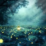 Licht 1644925945