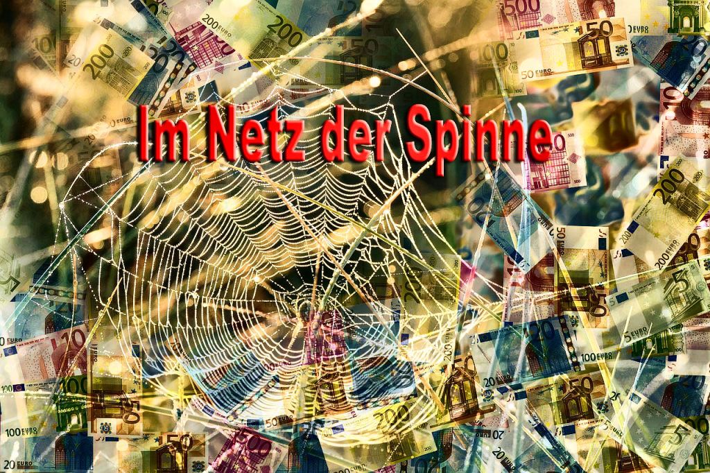 Spinne