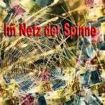Spinne