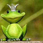 Frosch