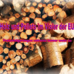 Holz