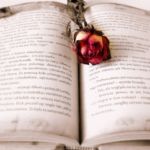 buch 1697797560