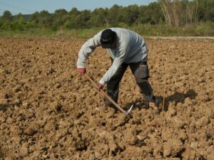 Landwirtschaft – das ist das Ziel des Projektes „Alianza Österreich – Argentinien“