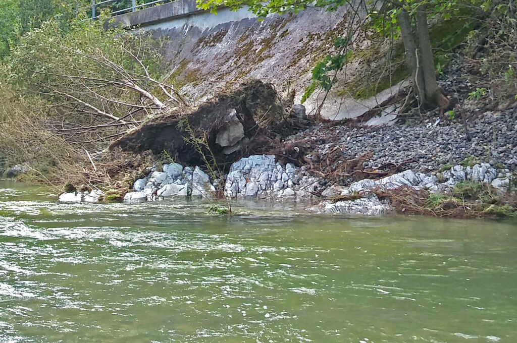 Triesting, Hochwasser 2024