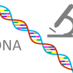 DNA 1727188716