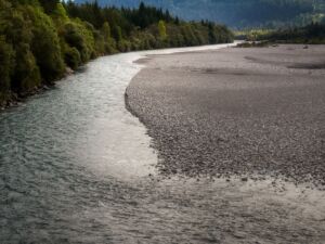 WWF fordert Renaturierung der Fließgewässer