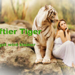 krafttier Tiger