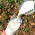 Milch 1753789574