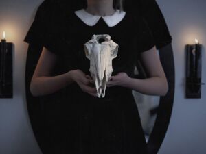 Gefährliche Psychologen und Sozialarbeiter: Siehe auch Videos