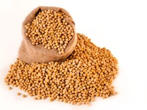 Trump und die Bohnenranke: Sojabohnen für China