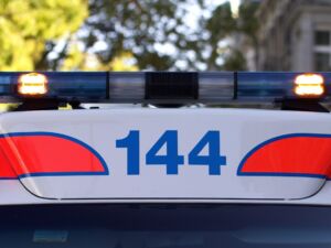 Ein Buch voller Beweihräucherung fürs Land, die Praxis?