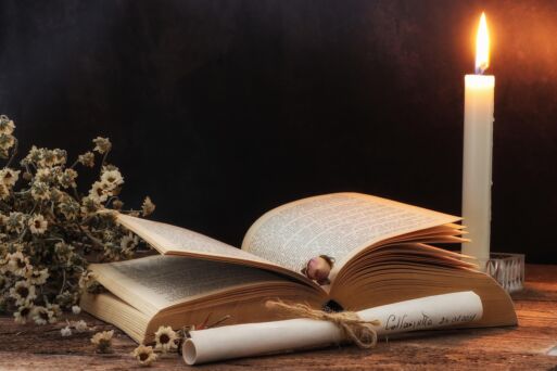 True Stories: "Der Trauerschwindler"! Starke Sendung, warum ist der Anwalt nicht mit in Haft?