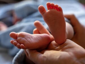 Wenn Anwälte ihre Klienten verstecken müssen? Drama rund um Baby und Mutter