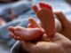 Wenn Anwälte ihre Klienten verstecken müssen? Drama rund um Baby und Mutter