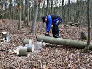 Holzfaeller 1784794821