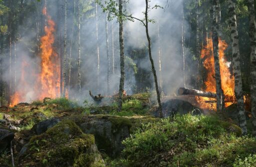 Bundesheerhubschrauber rückten heuer bereits 17-mal zu Waldbränden aus
