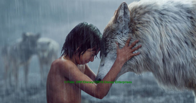 Abschied von Zieheltern und Brüdern | © Foto: ORF/Disney/©2015 Disney Enterprises. The Jungle Book