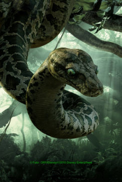 Kaa | © Foto: ORF/Disney/©2015 Disney Enterprises. The Jungle Book
