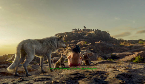 Moglis Familie | © Foto: ORF/Disney/©2015 Disney Enterprises. The Jungle Book