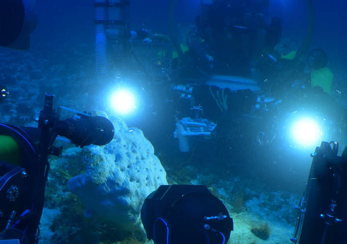 Das vielleicht neueste und größte Geheimnis ist das riesige "Amazonas-Riff", welches nur von Algen geschaffen wurde.
|
Foto: ORF/BBC/Mark Flowers Amazonas - Fluss ohne Grenzen