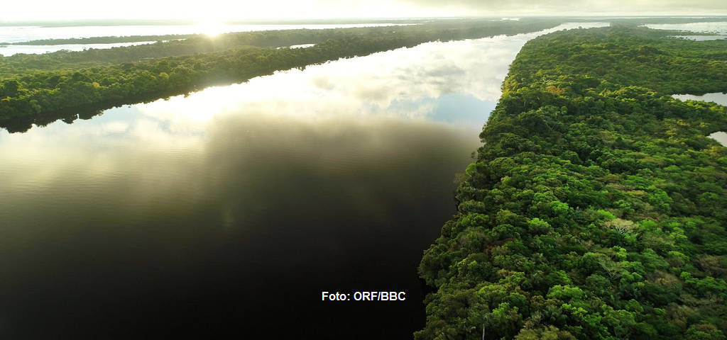 Sonnenaufgang über einem Schwarzwasserfluss im Amazonas.
|
Foto: ORF/BBC. Amazonas - Fluss ohne Grenzen