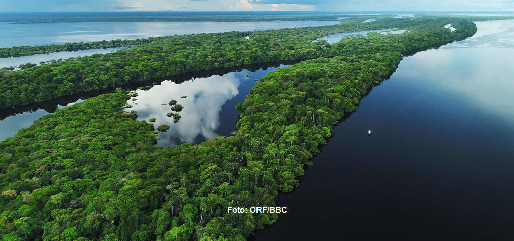 Die überfluteten Wälder des Amazonas existieren seit mindestens 8 Millionen Jahren, und an einigen Stellen ähneln Flussabschnitte eher einem Meer oder riesigen See.
|
Foto: ORF/BBC. Amazonas - Fluss ohne Grenzen