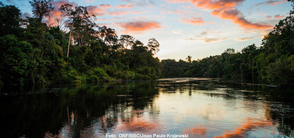 Sonnenuntergang über dem Cristalinofluss in Brasilien.
|
Foto: ORF/BBC/Joao Paulo Krajewski. Amazonas - Fluss ohne Grenzen