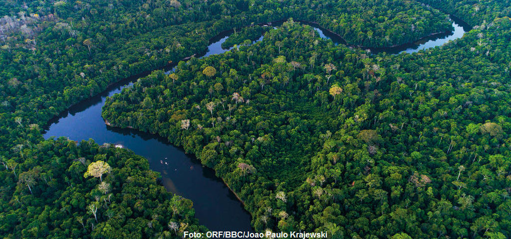 Schwarzwasserflüsse sind einige der markantesten Flüsse im Amazonas-System. Ihr dunkles Wasser ist durch Tannine von verrottenden Blättern verfärbt.
|
Foto: ORF/BBC/Joao Paulo Krajewski. Amazonas - Fluss ohne Grenzen