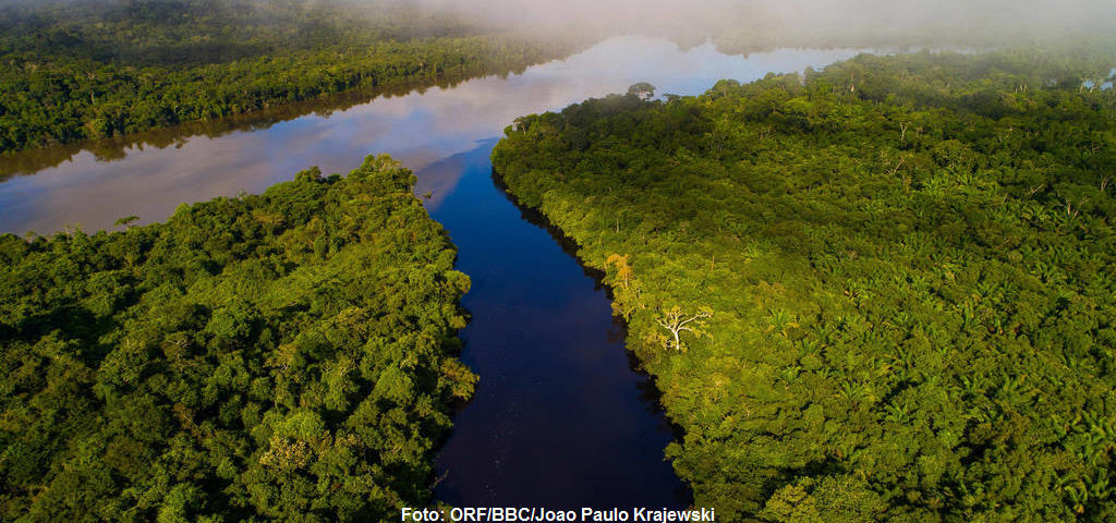 Der Amazonas hat viele Nebenflüsse in verschiedenen Farben und Formen, die Flussgabeln sehen dramatisch aus, wie der Zusammenfluss des Cristalino-Flusses und des Teles Pires-Flusses im Süden Brasiliens.
|
Foto: ORF/BBC/Joao Paulo Krajewski. Amazonas - Fluss ohne Grenzen