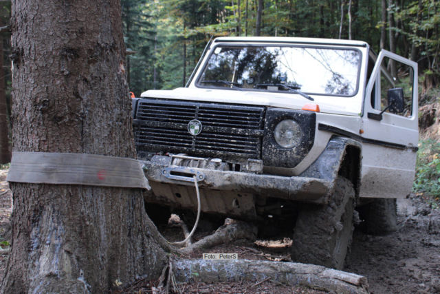Anleinen kann auch helfen | Foto: PeterS Auto und Hochwasser